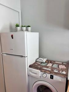 a kitchen with a refrigerator and a washing machine at Studios Μιχαλαρεα in Kyparissia