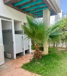 a palm tree in front of a house at Villa Omi Zina in Nabeul