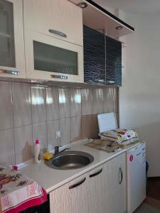 a kitchen counter with a sink and a microwave at Krapce - Lake View Apartments in Star Dojran +35 photos