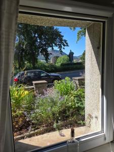 a window with a view of a car parked on a street at FeWo Bismarck in Goslar