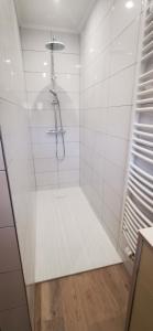 a bathroom with a shower with white tiles at La ferme du lac Saint Front in Saint-Front +29 photos