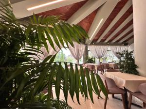 a restaurant with tables and chairs and a plant at Chateau Linza Resort in Tirana