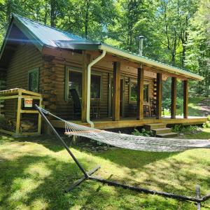 a log cabin with a hammock in front of it at Pine Hill FLX Retreat in Cohocton