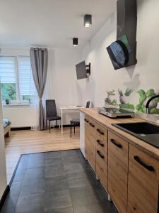 eine Küche mit Spüle und Arbeitsplatte in der Unterkunft Czarwoli in Wola Bokrzycka
