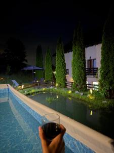 a person holding a glass of wine in front of a pool at Vila dintre Brazi in Moieciu de Jos