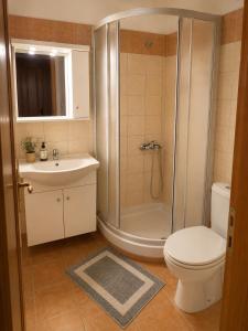 a bathroom with a shower and a toilet and a sink at Marialena hotel in Archangelos +21 photos