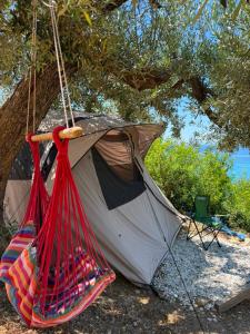 a tent with a hammock hanging from a tree at Blue Camping in Borsh, Vlorë in Borsh