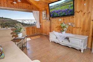 a living room with a tv on a wooden wall at נוף ארץ הגליל - צימרים מהממים במצפה נטופה in Mitspe Netofa