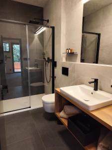 a bathroom with a sink and a shower and a toilet at Hotel Kras in Jedovnice