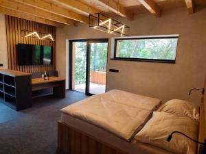 a bedroom with a bed and a desk and a television at Hotel Kras in Jedovnice