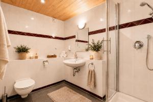 a bathroom with a toilet and a sink and a shower at Haus Alpenecho in Mittelberg +29 photos
