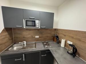 a kitchen with a sink and a microwave at Prime Host Flair Apartment in Karlsruhe +16 photos