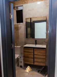 a bathroom with a sink and a mirror and a toilet at ORIGAMI APARTMENTs in Boi