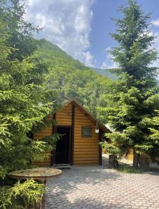 a wooden cabin with a large door and a tree at Vila Gryka in Peje