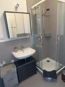 a bathroom with a sink and a shower at Haus Charlottenburg 2, zentrumsnah mit Blick auf die Festung, mit Sauna-Option in Königstein an der Elbe +12 photos