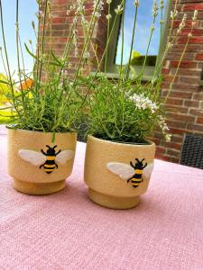 two pots with plants in them sitting on a table at Ferienwohnung Bienenkörbchen in Barge