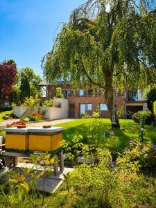a garden with a bench in front of a house at Ferienwohnung Bienenkörbchen in Barge