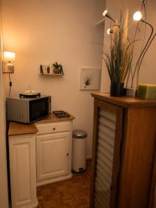 a kitchen with a microwave on top of a counter at Secret Garden in Waterloo +11 photos