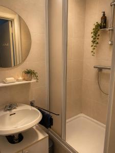 a bathroom with a sink and a shower at Secret Garden in Waterloo