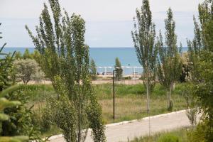 a row of trees in a field with the ocean in the background at Двухэтажный коттедж с 2 апартаментами на озере in Dolinka