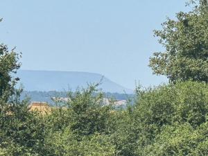 a mountain in the distance behind some trees at Sunset and birdsong in Hereford