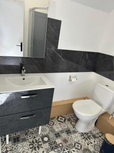 a bathroom with a white toilet and a sink at Le Petit Moineau in Arthon +7 photos