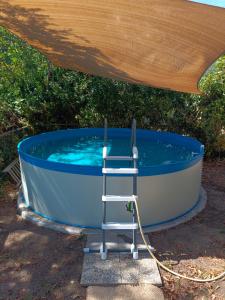 a hot tub with a ladder under a canopy at da Roy in Scansano