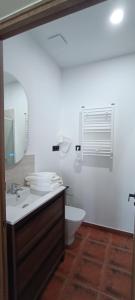 a bathroom with a sink and a toilet and a mirror at Casa Milor in Cabrafigal +16 photos