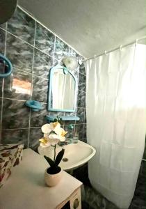 a bathroom with a sink and a mirror at Casa Kraljevo in Kraljevo