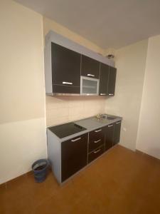 a kitchen with a sink and a microwave at Kosvegas Apartment in Kosovo Polje