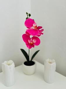 a pink flower in a white vase next to two candles at Casa Kraljevo in Kraljevo +1 photo