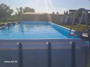 a swimming pool with a slide in a backyard at Pensiunea Denis in Cârțișoara