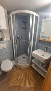 a bathroom with a shower and a toilet and a sink at Eos in Piran