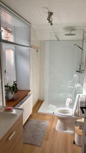 a bathroom with a toilet and a shower and a sink at Au fil de la Semois in Bohan +15 photos