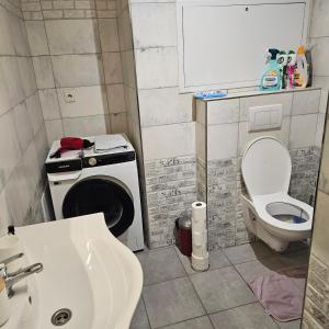 a small bathroom with a toilet and a sink at Iglovia apartman in Spišská Nová Ves