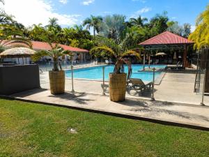 two palm trees in barrels next to a swimming pool at Au Paradis de Peggy - Bungalow 5 pers - Village de la Pointe Faula in Le Vauclin +11 photos