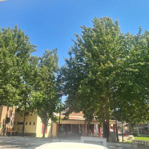 a group of trees in front of a building at loft ΑLEXIA in Pyrgos
