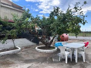a table and chairs next to a tree at Villa del Limone in Sellia Marina