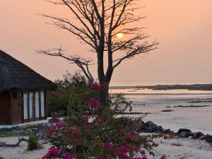 a tree and flowers in front of a house at Anchaca Sul in Bubaque