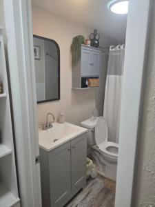 a bathroom with a sink and a toilet and a mirror at Welcome to this romantic getaway in Sarasota +35 photos