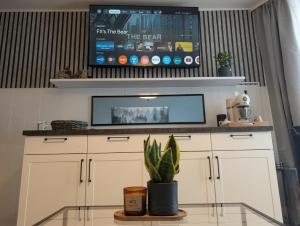 a tv on a wall above a counter with a plant at ParkNest - Apartment am Kurpark in Bad Klosterlausnitz