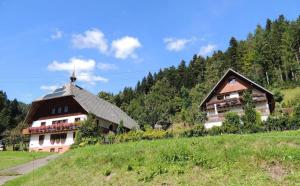 a house in the middle of a field at Obergießhof Waldbauernhof in Hornberg