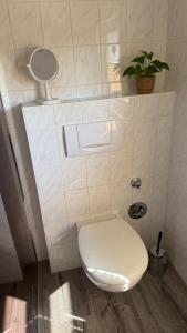 a bathroom with a toilet with a mirror and a plant at Ferienwohnung in Zirchow