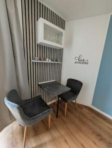 a room with two chairs and a table and a shelf at ParkNest - Apartment am Kurpark in Bad Klosterlausnitz