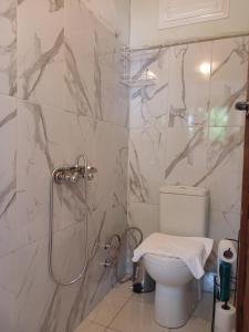 a bathroom with a toilet and a shower at Kalinka pansiyon in Cıralı