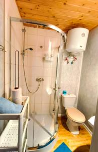 a small bathroom with a shower and a toilet at OliMarii domki nad jeziorem Jezioro Złotnickie Karłowice 19 a,b in Karłowice +50 photos