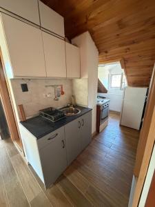 a small kitchen with a sink and a refrigerator at Vila Jovicic in Popadić