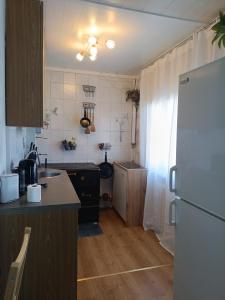 a kitchen with a refrigerator and a counter top at Viscosa Sadama tee külaliskorter in Kõrgessaare