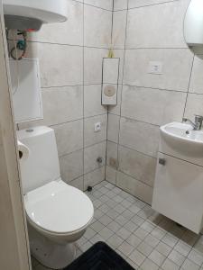 a bathroom with a toilet and a sink at Viscosa Sadama tee külaliskorter in Kõrgessaare