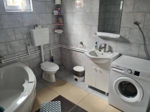 a bathroom with a toilet sink and a washing machine at Erdőszéli vendégház in Ghiduţ